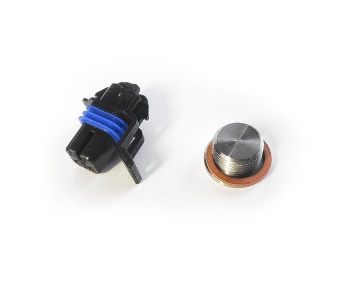 O2 Sensor Blockoff Kit / Polaris